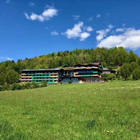 Natura Hotel Bodenmais - Inkl Soft- Und Heissgetraenkeflat Luaran gambar