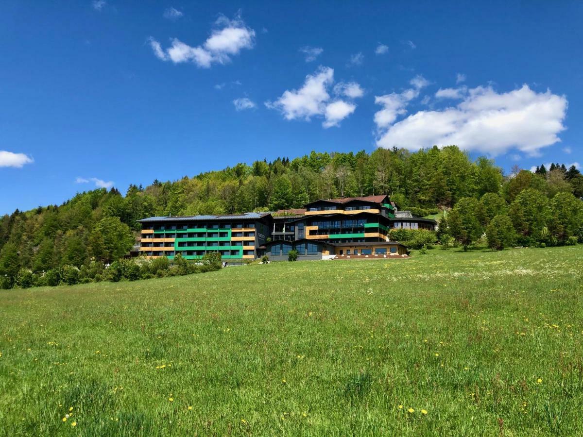 Natura Hotel Bodenmais - Inkl Soft- Und Heissgetraenkeflat Luaran gambar